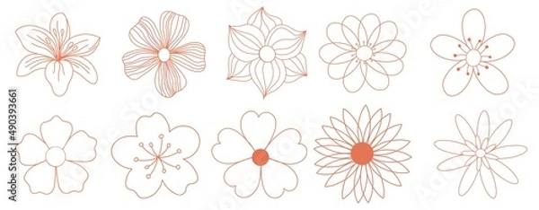 Fototapeta Set of linear icons of spring flowers isolated on white. Cute illustrations in bright orange for stickers, labels, postcards, scrapbooking