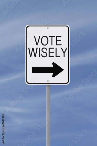 Fototapeta Vote Wisely