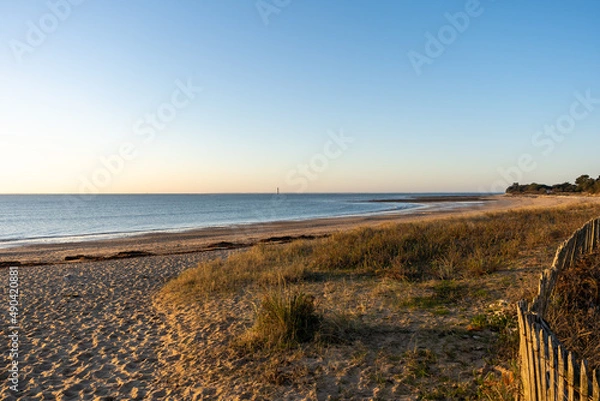 Fototapeta Rivedoux-plage Beach through dunes in ile de re in french country island