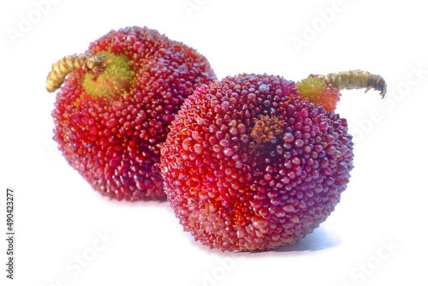Fototapeta Red Bayberry or Yumberry or Waxberry or Chinese Strawberry or Myrica Rubra in Scientific Name, fresh fruit, objects on white background