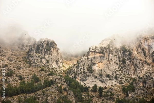 Obraz Mountain trails in the mist during winter time