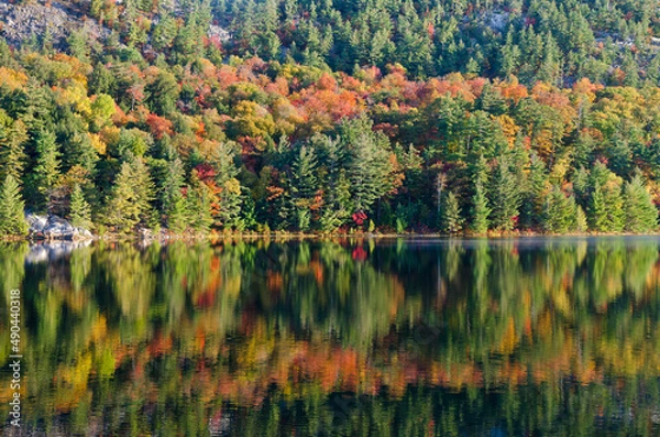 Obraz Sunrise above forest lake