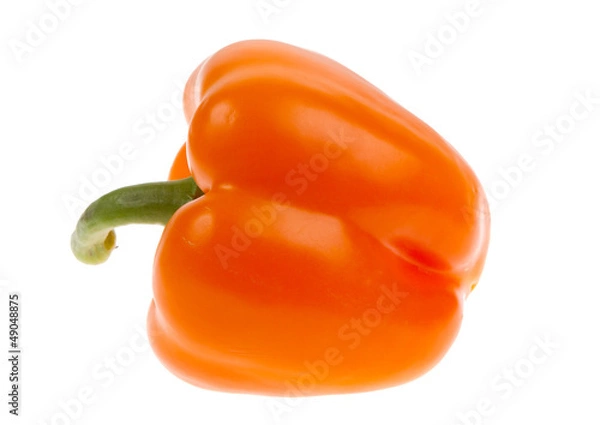 Obraz Orange bell pepper isolated