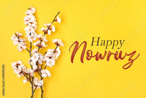Fototapeta Sprigs of the apricot tree with flowers on yellow background Text Happy Nowruz Holiday Concept of spring came Top view Flat lay Hello march, april, may, persian new year