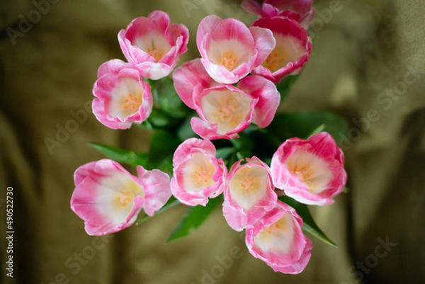 Fototapeta Bouquet of pink tulips on a green linen background. Close-up.