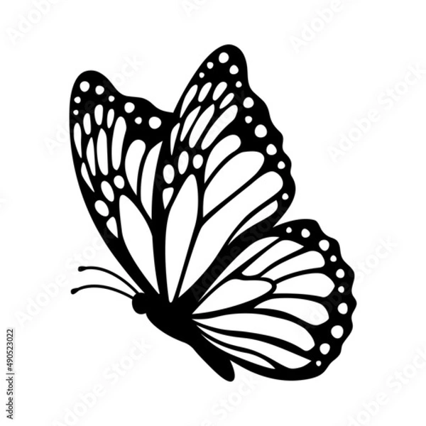 Fototapeta Monarch butterfly silhouette, side view. Vector illustration isolated on white background