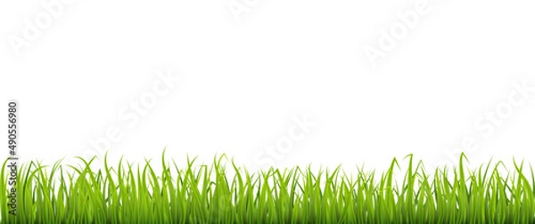 Obraz Green spring grass border, meadow or lawn, element for design.