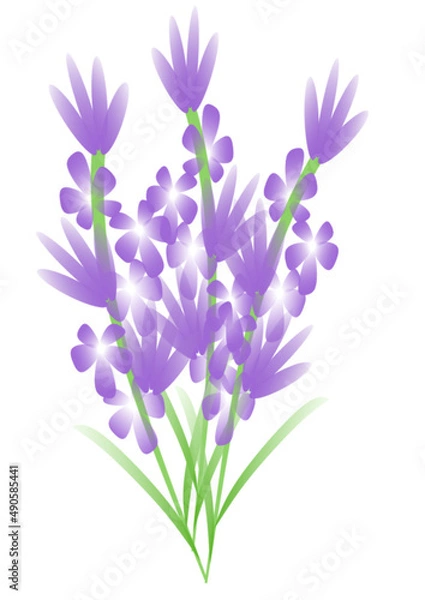 Obraz lavender sticks