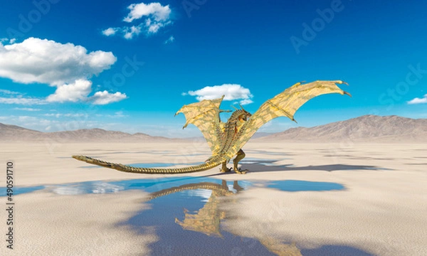 Fototapeta dragon is standing up and ready to attack on the desert after rain cool rear view