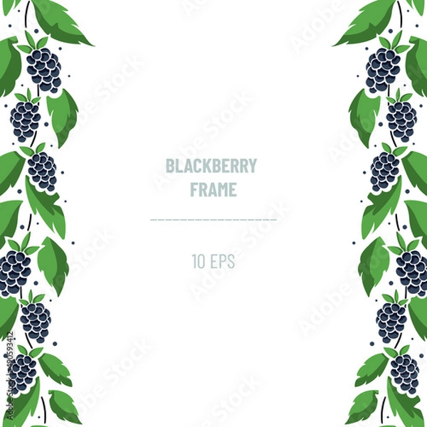 Fototapeta Vertical border composition with blackberries on foliate twigs; perfect for greeting cards, posters, banners, invitations and other design. Vector illustration.