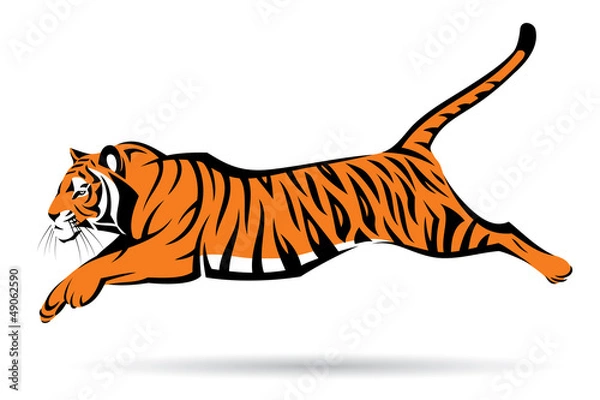 Obraz Skakanie tygrysa