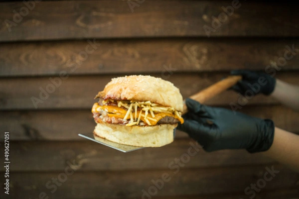 Obraz Burger and fries