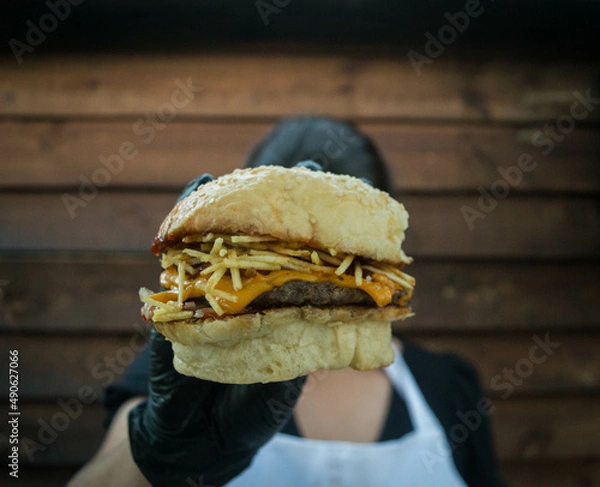 Obraz Burger and fries