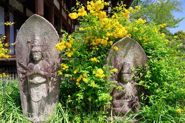 Obraz 古都奈良　ヤマブキの咲く般若寺　