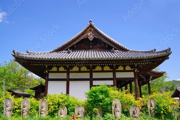 Obraz 古都奈良　ヤマブキの咲く般若寺　