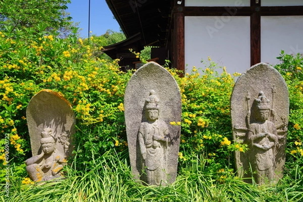Obraz 古都奈良　ヤマブキの咲く般若寺　