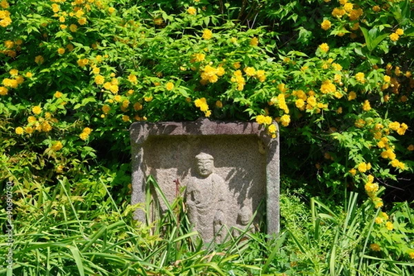 Obraz 古都奈良　ヤマブキの咲く般若寺　