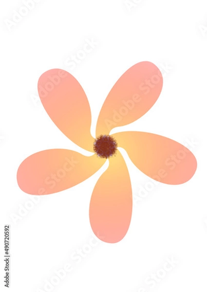 Obraz Orange flower