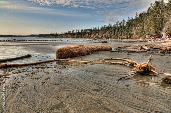 Fototapeta Logs and sea debris on beach with forest