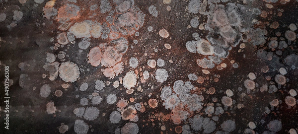 Obraz elegant stone texture background