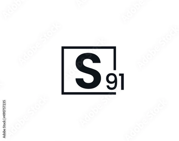 Fototapeta S91, 91S Initial letter logo