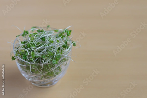 Fototapeta ブロッコリースプラウト