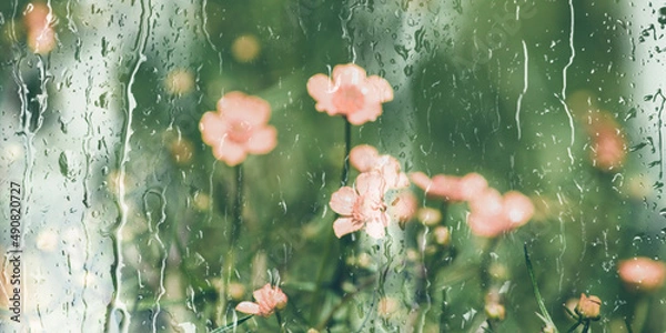 Fototapeta Abstract blurred background with pink small flowers and green grass behind a wet window with raindrops and flowing water on it