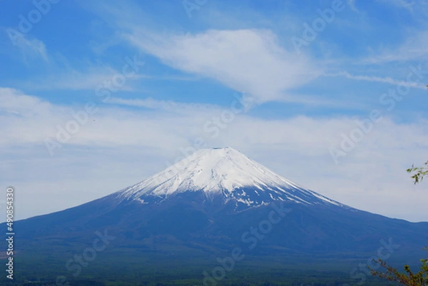 Fototapeta 日本、静岡県、春、新倉山から見る富士山