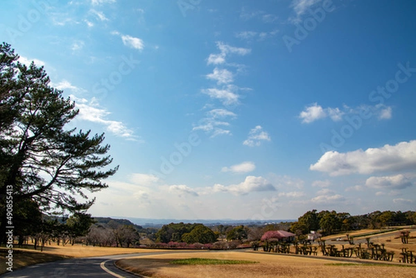 Obraz 快晴の空と眺望