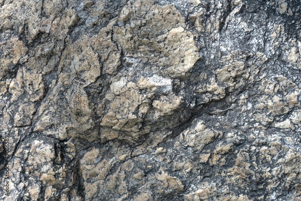 Fototapeta Old gray stone texture in a closeup view