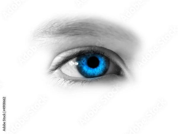 Obraz gazing blue eye