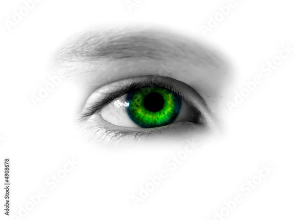Obraz gazing green eye