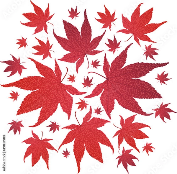 Obraz Autumn red leaves