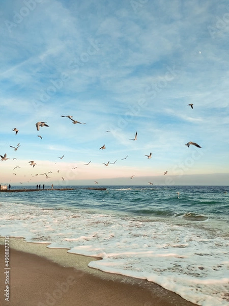 Obraz seagulls on the beach