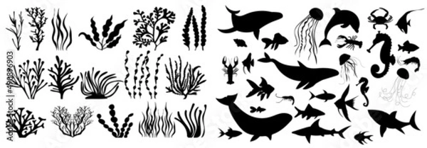 Obraz set of algae fish black silhouette isolated vector