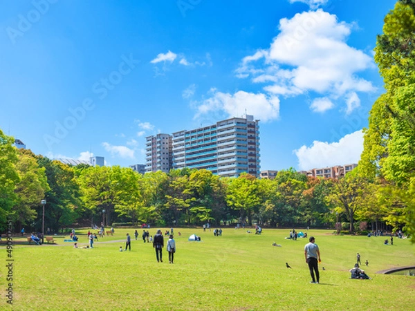Obraz 青空が広がる住宅街の公園