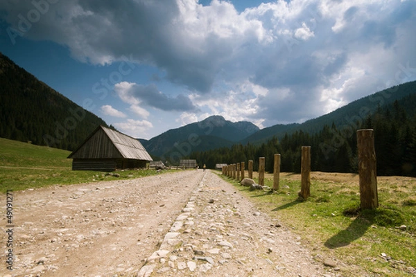 Obraz Dolina Chochołowska