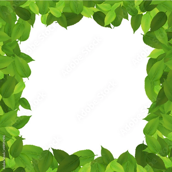 Fototapeta Leaf border