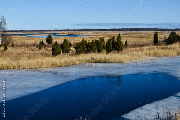 Obraz spring on the lake