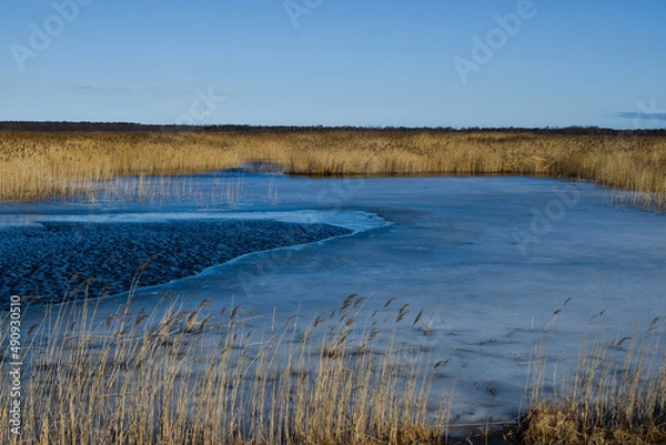 Obraz spring on the lake 