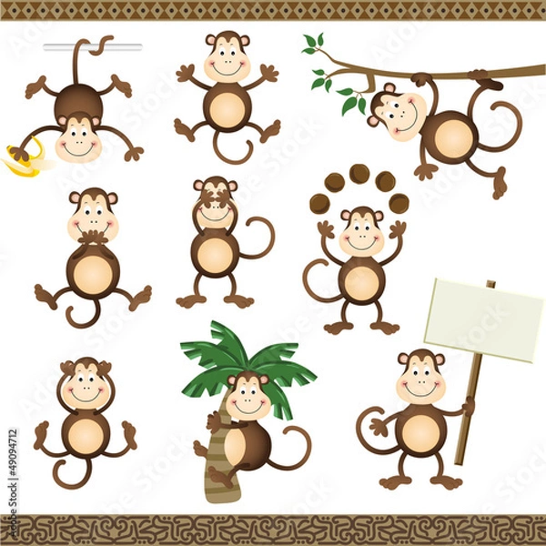 Fototapeta Monkey in varying positions