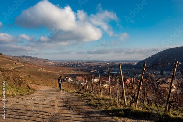 Obraz landscape in the mountains