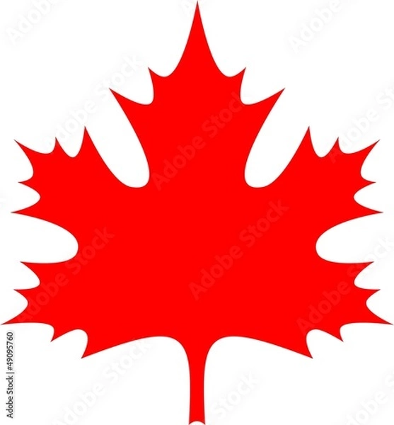Fototapeta maple_leaf