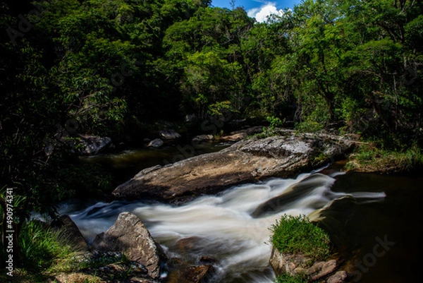 Obraz waterfall in the woods