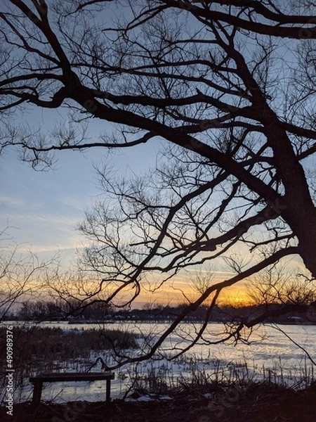 Obraz sunset in the park