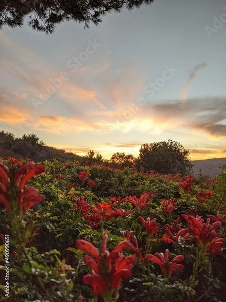 Obraz sunset in the mountains