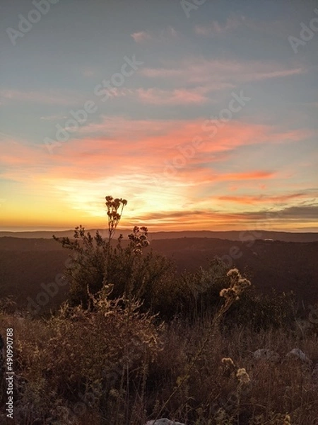 Obraz sunset on the lake