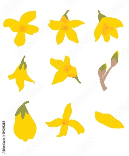 Obraz 봄 개나리 꽃 아이콘 일러스트 벡터 소스 디자인