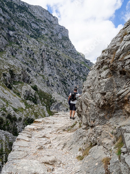 Obraz Senderista desconocido caminando en la Ruta del Cares desde Poncebos en Asturias, para senderistas amantes de la naturaleza y excursiones de montaña, en el verano de 2020