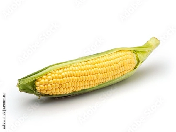 Fototapeta とうもろこし